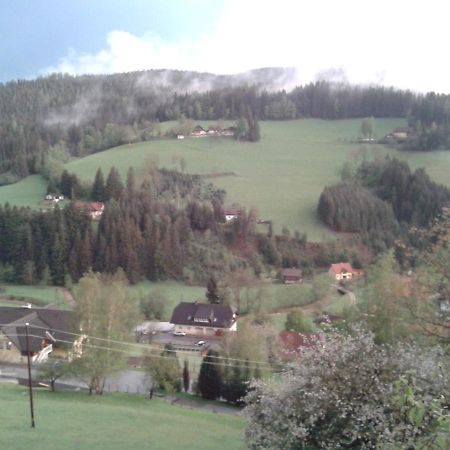 Haus Koenigshofer Lägenhet Sankt Kathrein am Hauenstein Exteriör bild