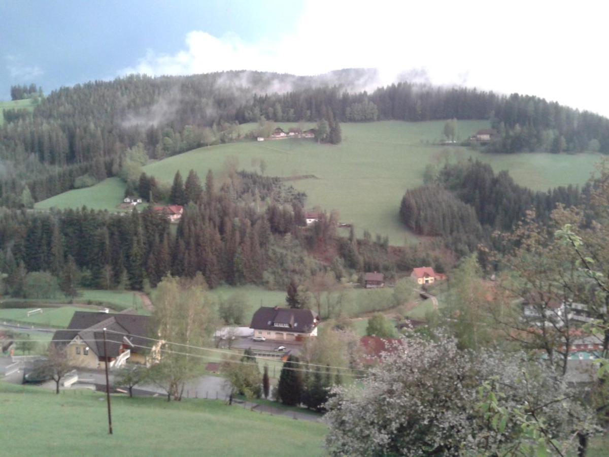 Haus Koenigshofer Lägenhet Sankt Kathrein am Hauenstein Exteriör bild