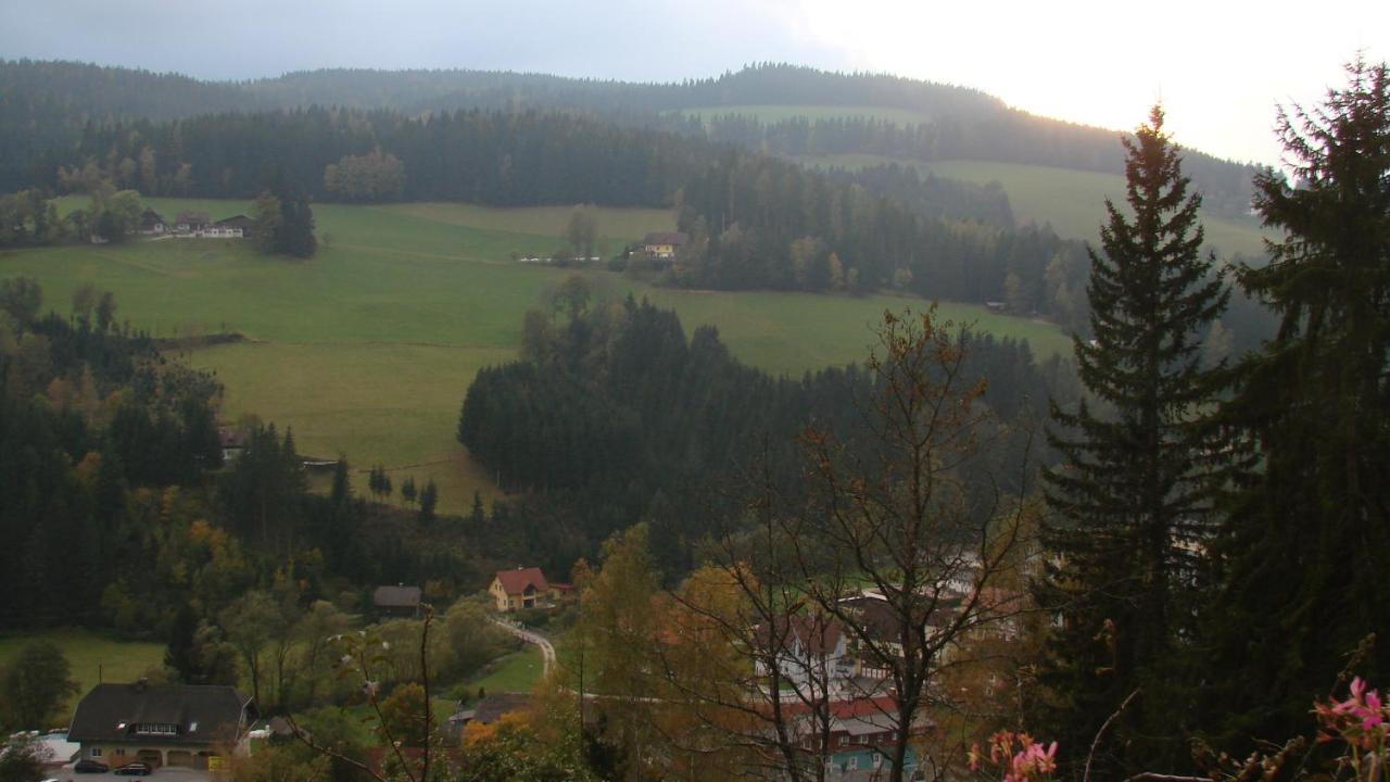 Haus Koenigshofer Lägenhet Sankt Kathrein am Hauenstein Exteriör bild